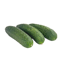 Огурцы «Кураж» (вес)