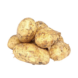 Картофель свежий урожай (вес)