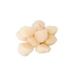 Гребешок Приморский с/м 500 гр. (в вакууме)